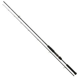 DAIWA Airity 1,95m 2-9g Koupit Online