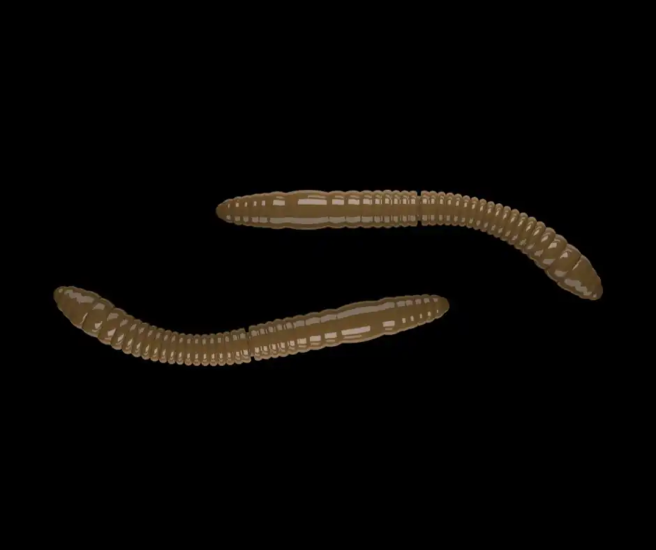 Nejlepší Volba Libra Lures Fatty D´Worm Tournament 55mm 038 Brown Sýr 12ks
