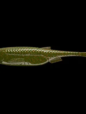 Speciální Cena Libra Lures Kraken Shad 5cm 032 MotorOil Green 1ks