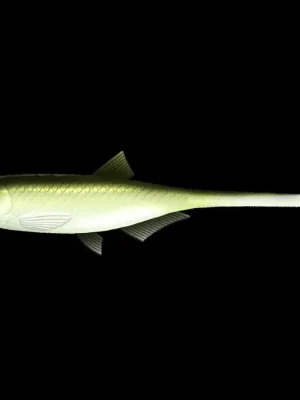 Libra Lures Bleak Slug Tail 21cm 011 Olive Whitefish Akční Cena