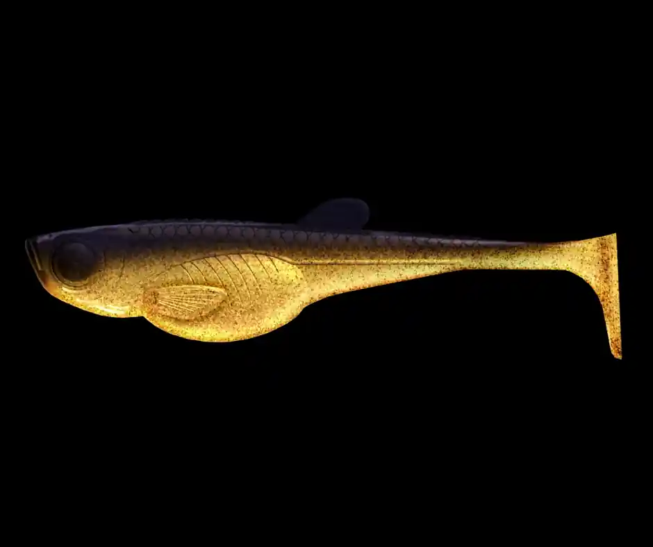 Aktuální Libra Lures Embrion Shad 20cm 009 Gold