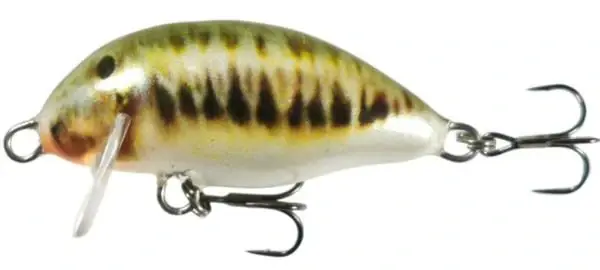Kenart Chubby 4cm M Must-Have