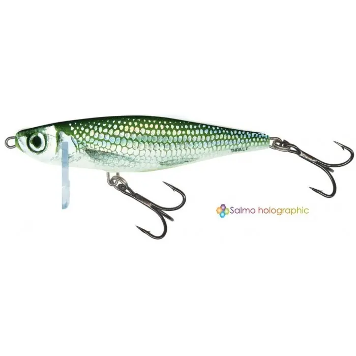 Oblíbený Wobler Salmo Thrill 05 S HBL
