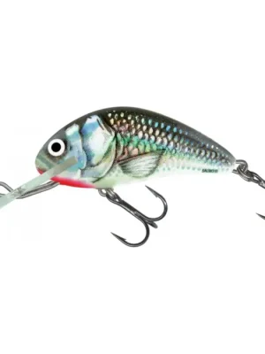 Akční Nabídka Wobler Salmo Hornet 04 F HGS