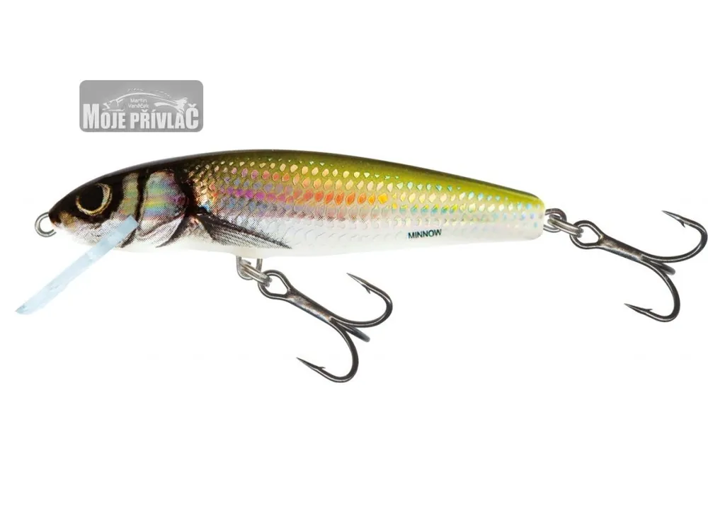 Sezónní Sleva Wobler Salmo Minnow 7cm Sinking Holo Bleak