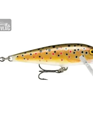 Vysoce Kvalitní Wobler Rapala CountDown 05 TR 5cm