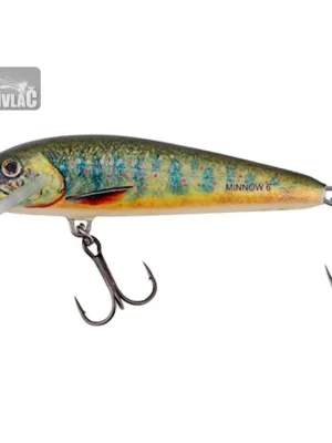 Wobler Salmo Minnow 6cm Floating Lake Charr Akce