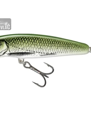 Aktuální Wobler Salmo Minnow 7cm Floating Olive Bleak