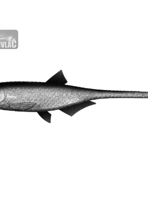 Gumová nástraha Libra Lures Bleak Slug Tail 8.2'' 21cm - 002 / GHOST 1ks Víkendová Akce
