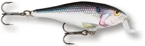 Rapala Wobler Shad Rap Shallow Runner 07 SD Nakupujte Hned