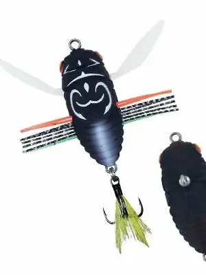 DUO International Cikáda Koshinmushi ACC3204 Aburazemi Must-Have
