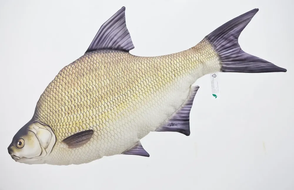Gaby Polštář Cejn Velký - 65 cm Odeslání Ihned