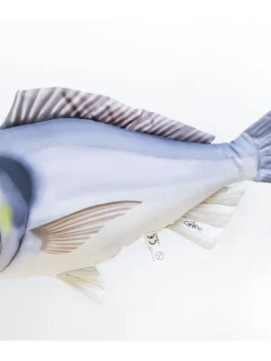 Pražma královská - 60 cm polštářek Novinka