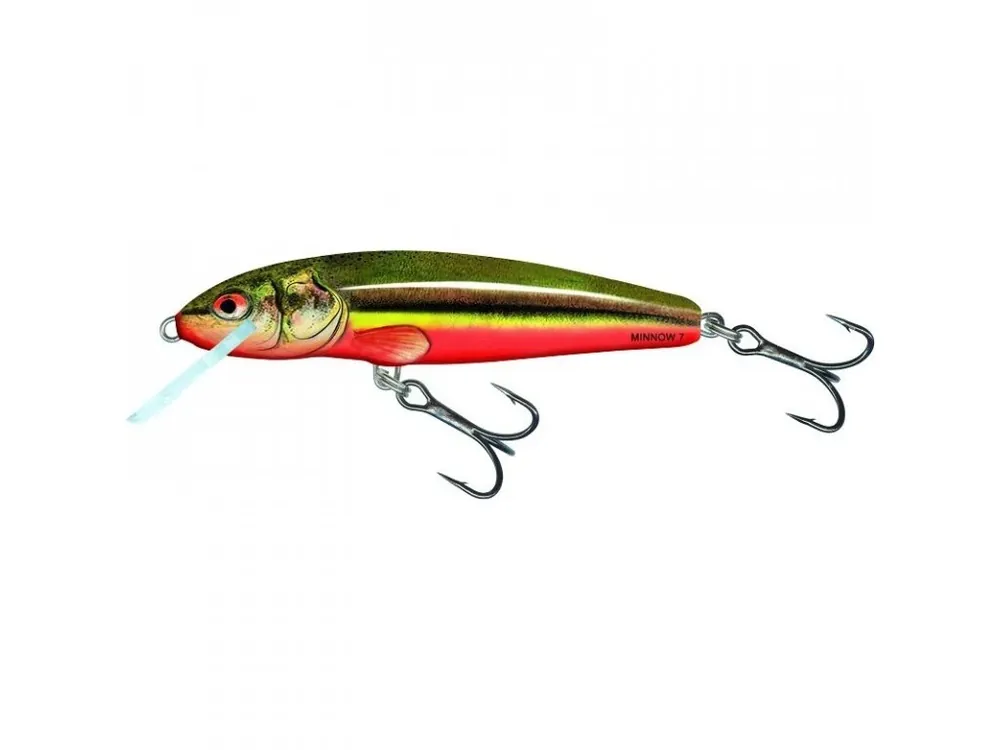Wobler Salmo MINNOW-RBD Získejte slevu -5% za registraci v e-shopu Velikost M5F 5cm Originální
