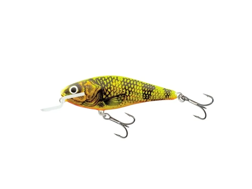 Zlevněný Wobler Salmo EXECUTOR-GFP Získejte slevu -5% za registraci v e-shopu Velikost EX5SR 5cm