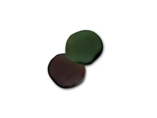 Top Prodej Carp Zoom Plastický wolfram - 20g Zelená