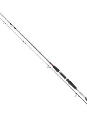 Akční Nabídka Daiwa Prut Seahunter X 2,4m 100-200g
