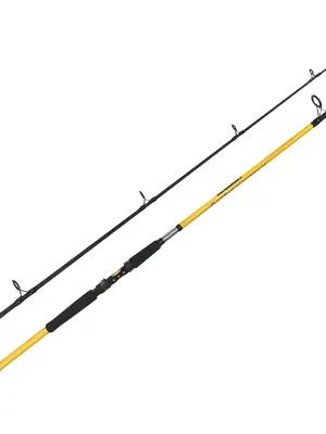 Akce Zfish Prut Kodiak 2,40m/100-250g